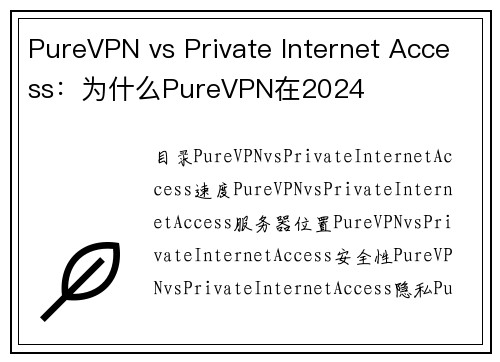 PureVPN vs Private Internet Access：为什么PureVPN在2024